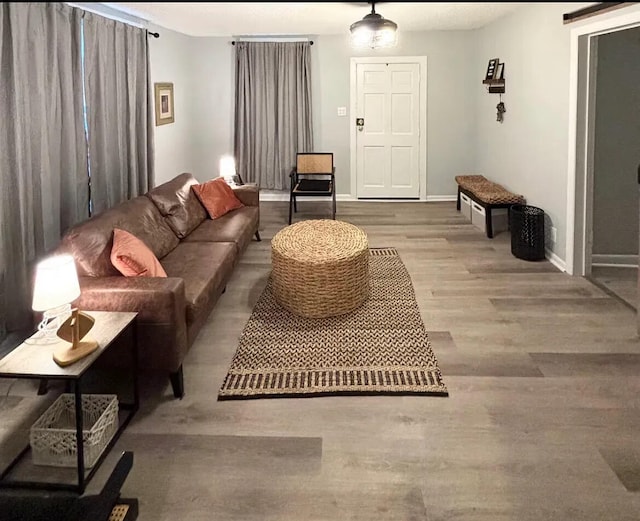 living room featuring light hardwood / wood-style flooring