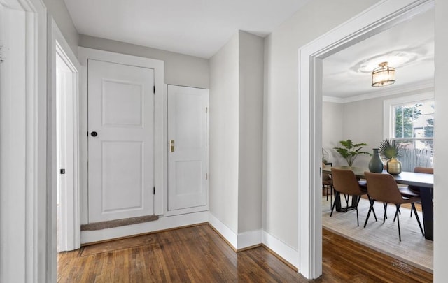 hall featuring ornamental molding and dark hardwood / wood-style floors