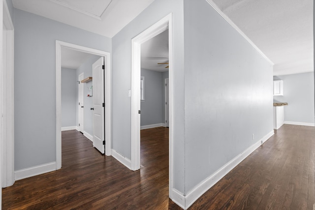 corridor featuring dark hardwood / wood-style flooring