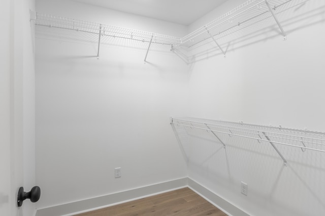 walk in closet featuring hardwood / wood-style floors