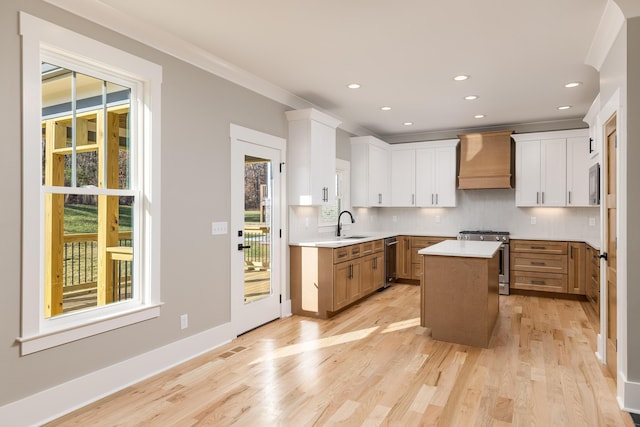 kitchen with light wood finished floors, visible vents, appliances with stainless steel finishes, premium range hood, and backsplash