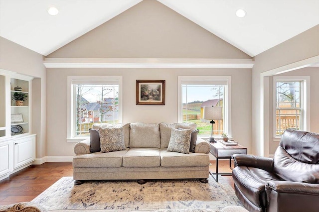 living room featuring hardwood / wood-style floors, high vaulted ceiling, and a healthy amount of sunlight