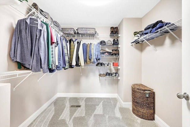 walk in closet featuring carpet