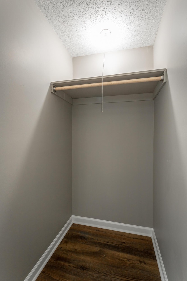 walk in closet featuring dark wood-type flooring