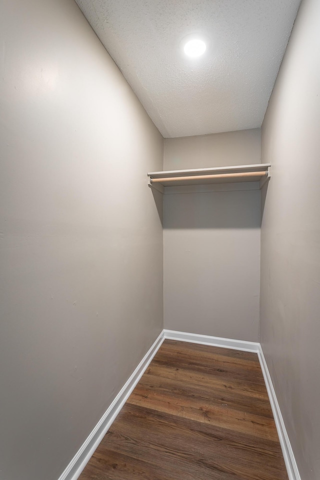 spacious closet featuring dark hardwood / wood-style flooring