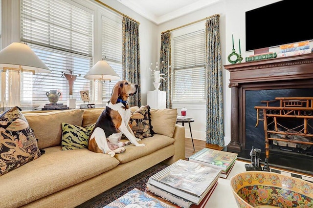 living room featuring hardwood / wood-style flooring and a fireplace