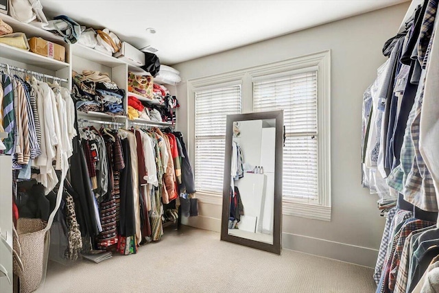 walk in closet featuring light colored carpet