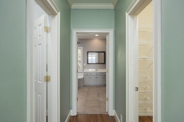 corridor with crown molding, sink, and dark hardwood / wood-style floors