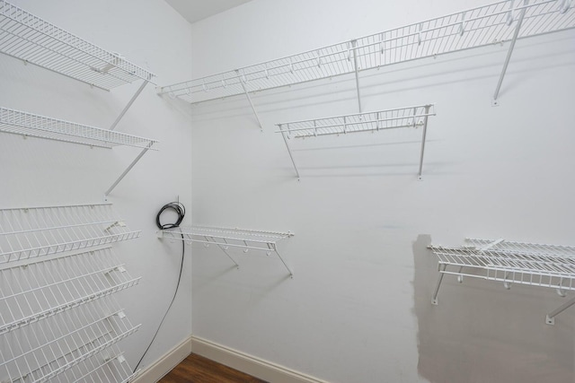 walk in closet featuring dark wood-type flooring