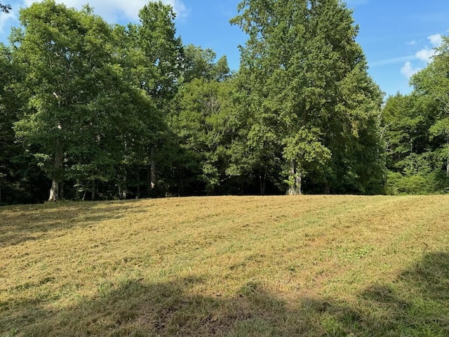 184 Old Wilder Rd, Grimsley TN, 38565 land for sale