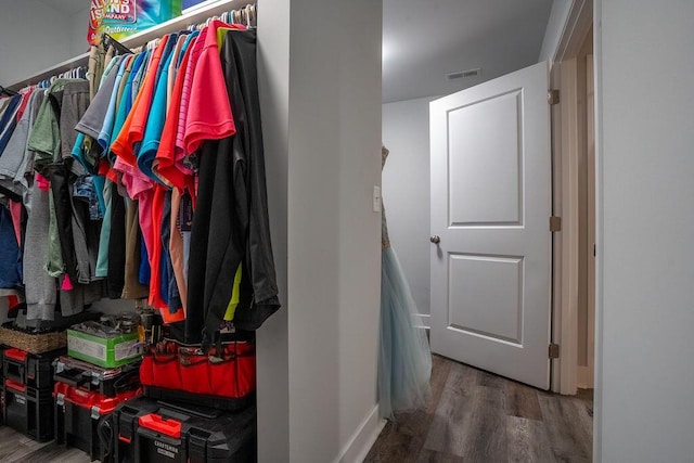 spacious closet with wood-type flooring