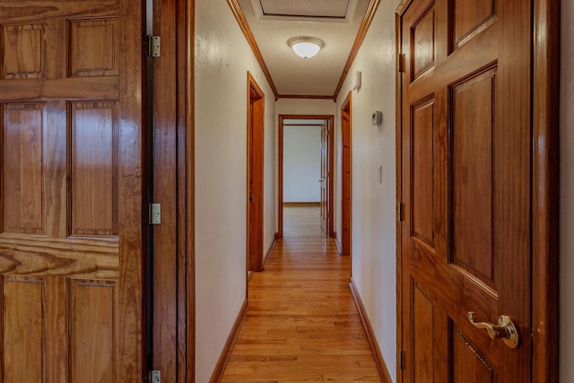 hallway with ornamental molding, a textured ceiling, and light wood-type flooring