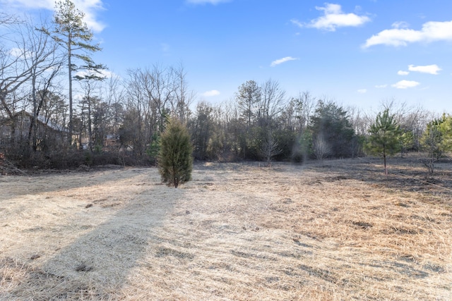 view of yard with a rural view