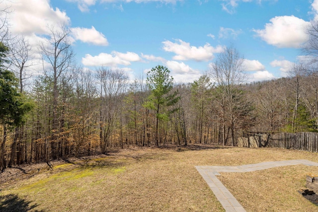 view of yard featuring a wooded view