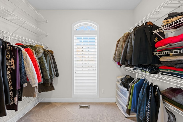 walk in closet featuring carpet and visible vents