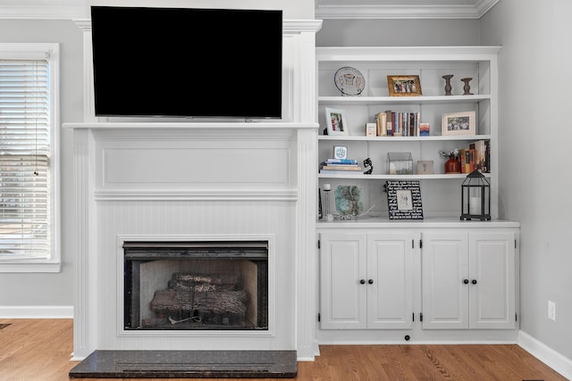 details featuring crown molding and wood-type flooring