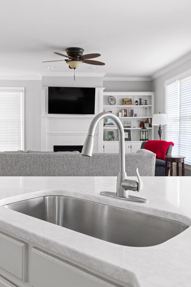 room details with crown molding, ceiling fan, and sink