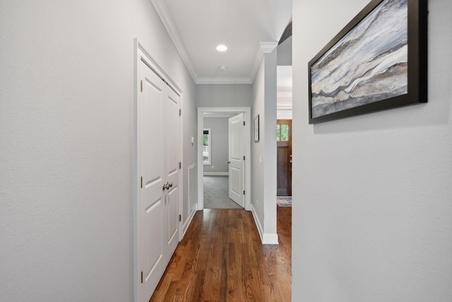 corridor with crown molding and dark wood-type flooring