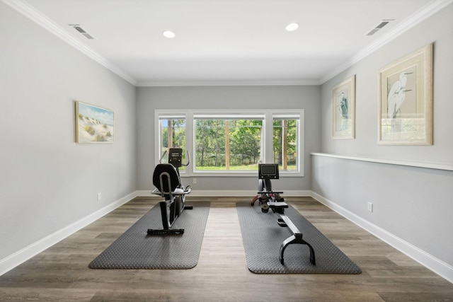 workout area featuring a wealth of natural light, ornamental molding, and wood-type flooring