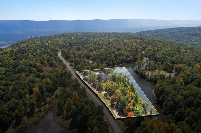 birds eye view of property featuring a water and mountain view