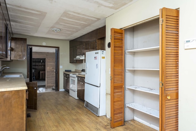 kitchen featuring dark brown cabinetry, sink, white appliances, and light hardwood / wood-style floors