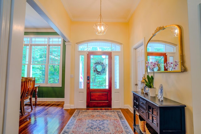 entrance foyer featuring crown molding, a chandelier, and dark hardwood / wood-style flooring