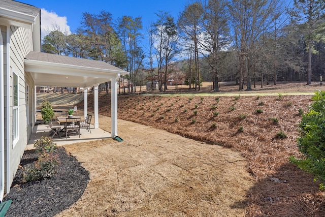 view of yard with a patio area