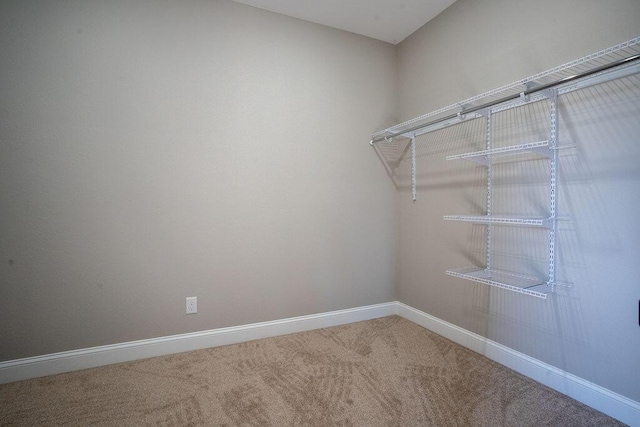 spacious closet with carpet