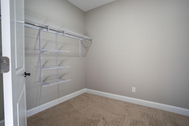 walk in closet with carpet flooring