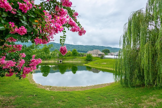 property view of water