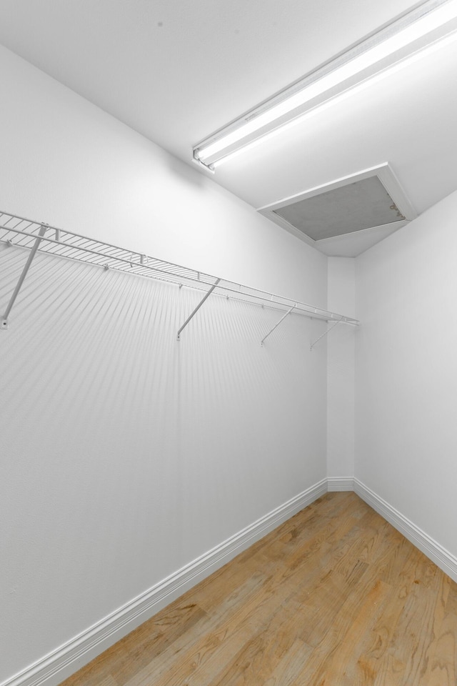 walk in closet featuring light hardwood / wood-style floors