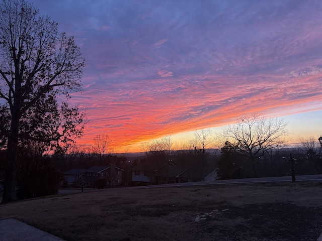 view of yard at dusk