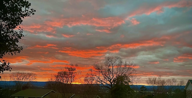 view of nature at dusk