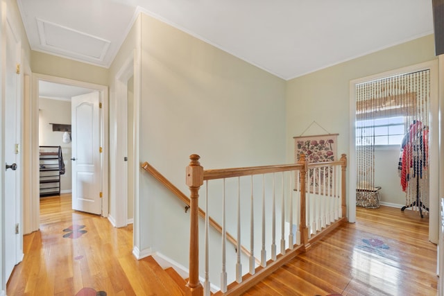 hallway featuring crown molding and light hardwood / wood-style flooring