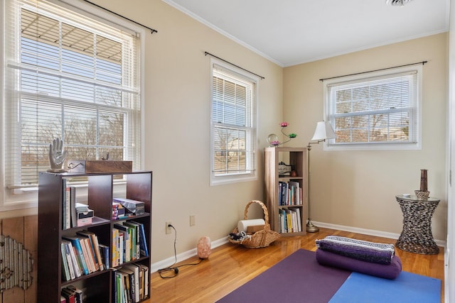 exercise area with crown molding and hardwood / wood-style flooring