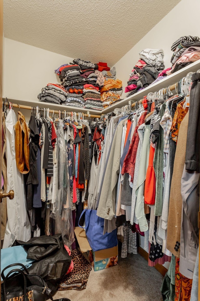 spacious closet featuring carpet