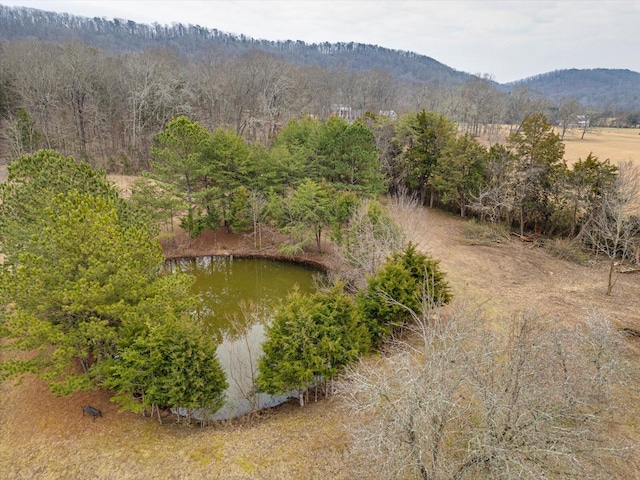 birds eye view of property featuring a water and mountain view