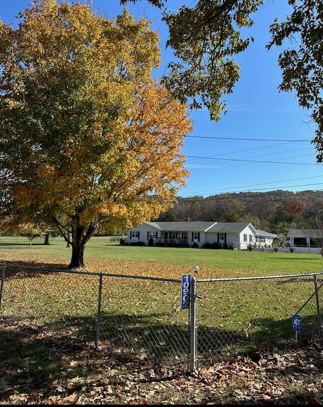 view of yard