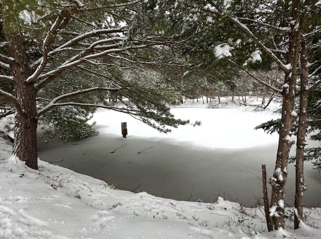 view of snow covered land