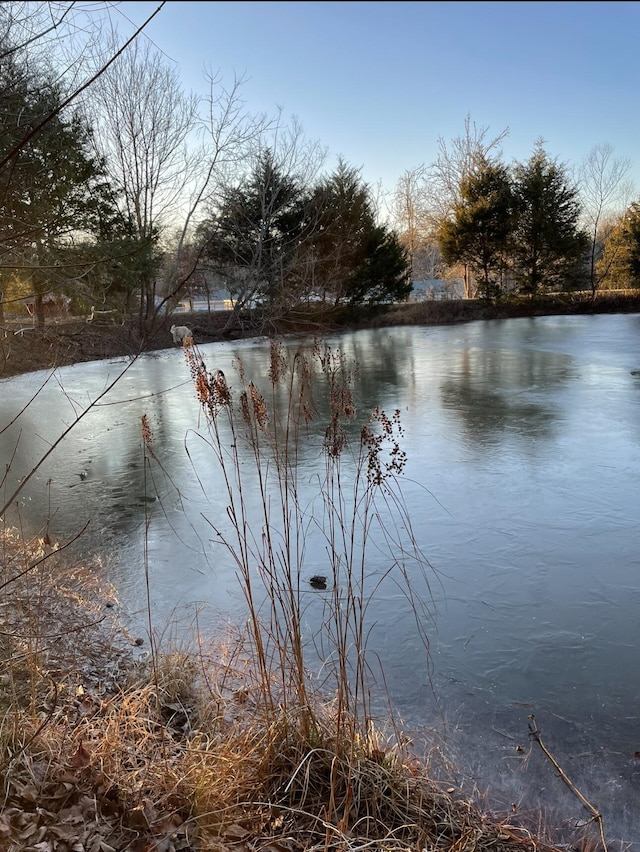 view of water feature