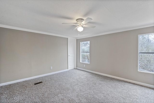 spare room featuring ceiling fan, a healthy amount of sunlight, carpet, and a textured ceiling