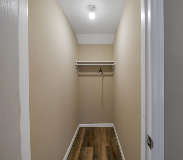 spacious closet with dark wood-type flooring