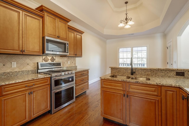 kitchen featuring dark hardwood / wood-style floors, sink, decorative backsplash, a tray ceiling, and stainless steel appliances