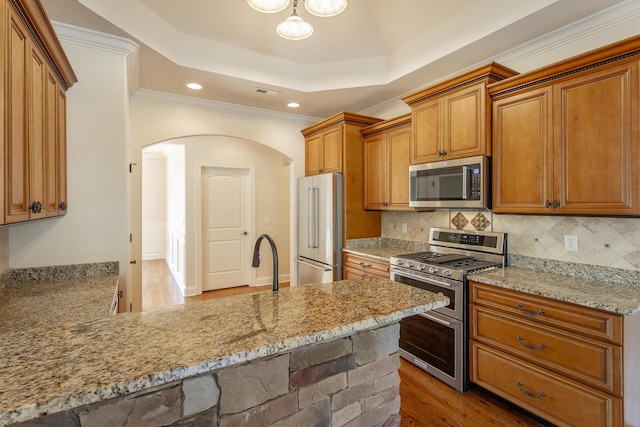 kitchen featuring stainless steel appliances, a raised ceiling, light stone countertops, and backsplash