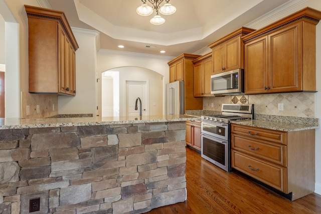 kitchen with stainless steel appliances, a raised ceiling, dark hardwood / wood-style flooring, and light stone counters