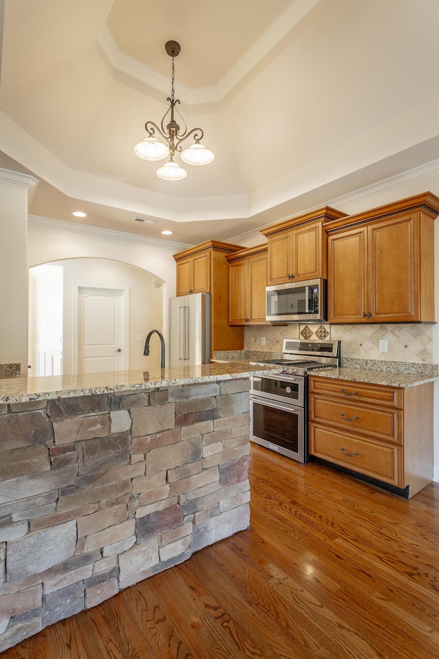 kitchen with light stone countertops, dark hardwood / wood-style floors, stainless steel appliances, and a raised ceiling