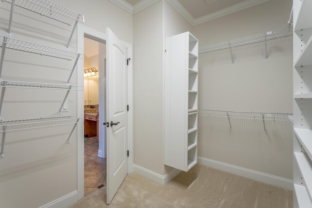 spacious closet featuring light carpet