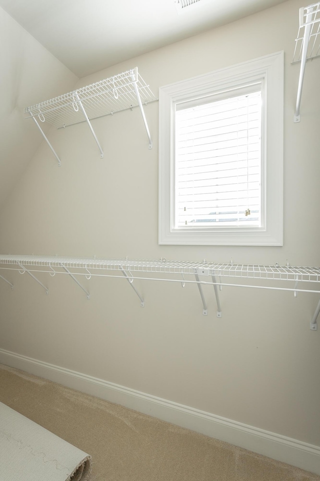 spacious closet featuring carpet floors