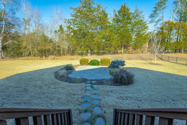 view of yard with a patio