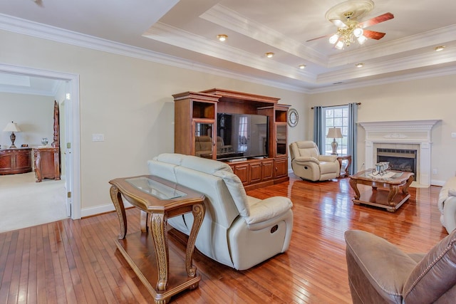 living room featuring light hardwood / wood-style flooring and a raised ceiling